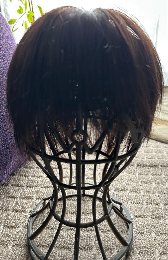 プリシラ人毛100％ 五分ウィッグ ショートヘアピース