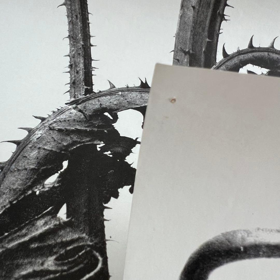 COMME des GARCONS 1989 カレンダー　印刷物