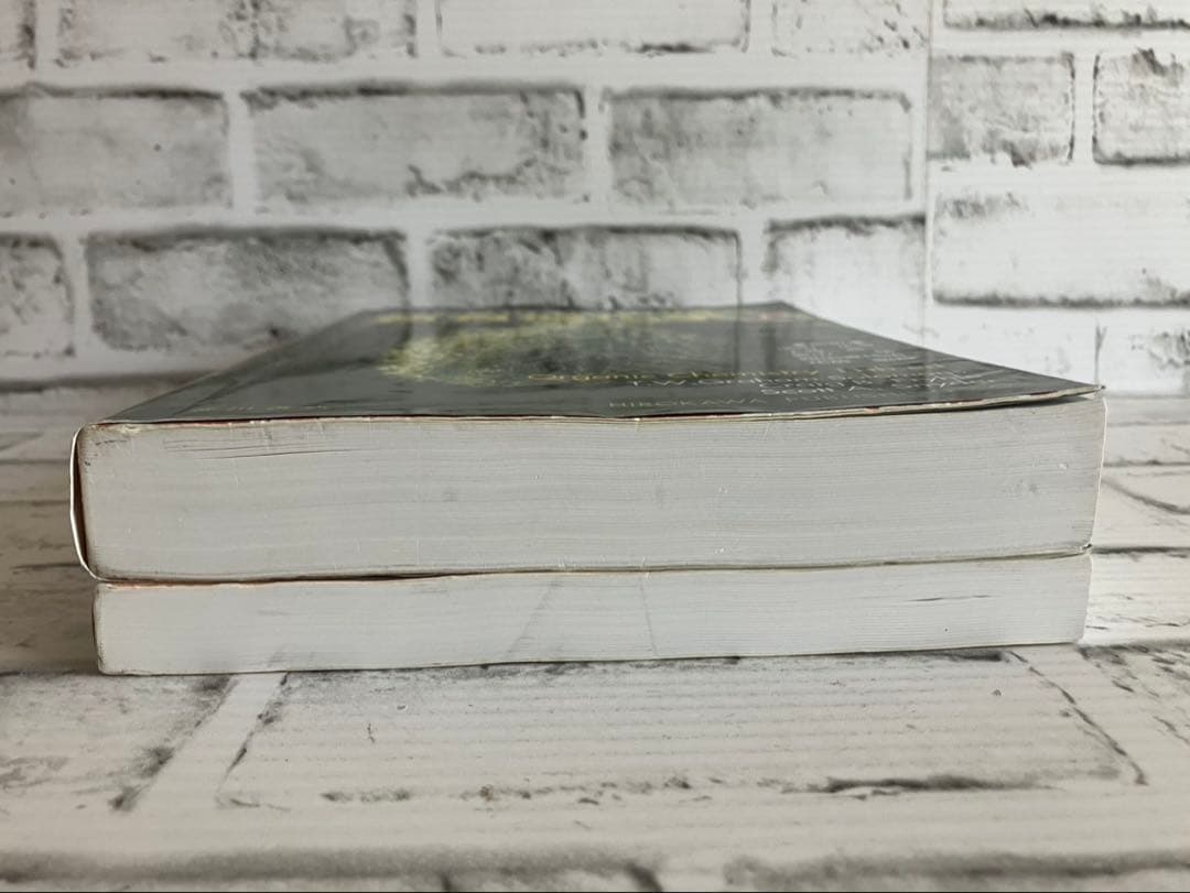 ソロモンの新有機化学 第11版 1➕2【2冊セット】