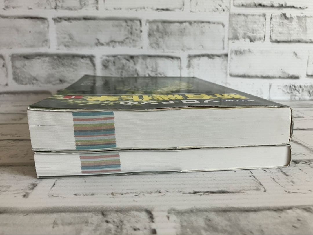 ソロモンの新有機化学 第11版 1➕2【2冊セット】