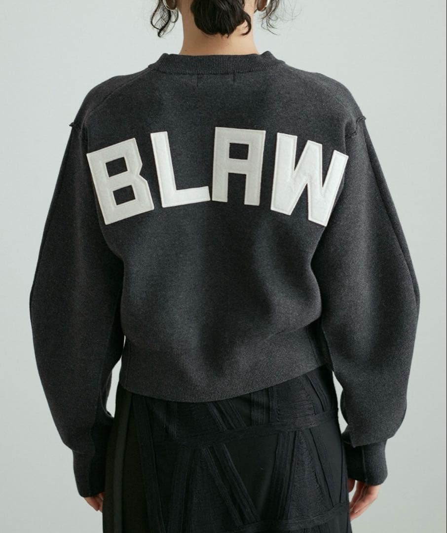 アダムエロペ　【サステナブル・洗える】フェルト刺しゅうニットプルオーバー