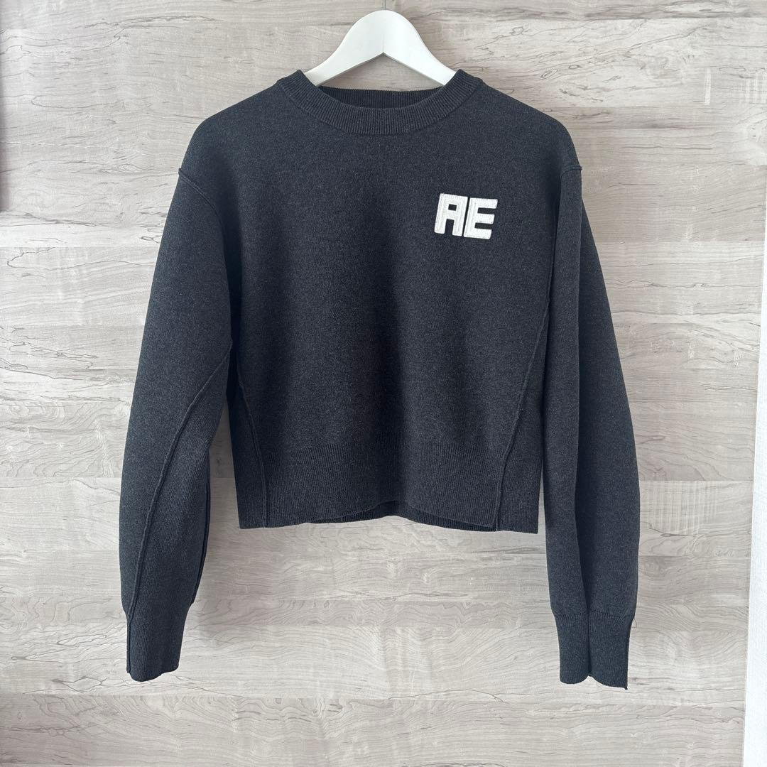 アダムエロペ　【サステナブル・洗える】フェルト刺しゅうニットプルオーバー