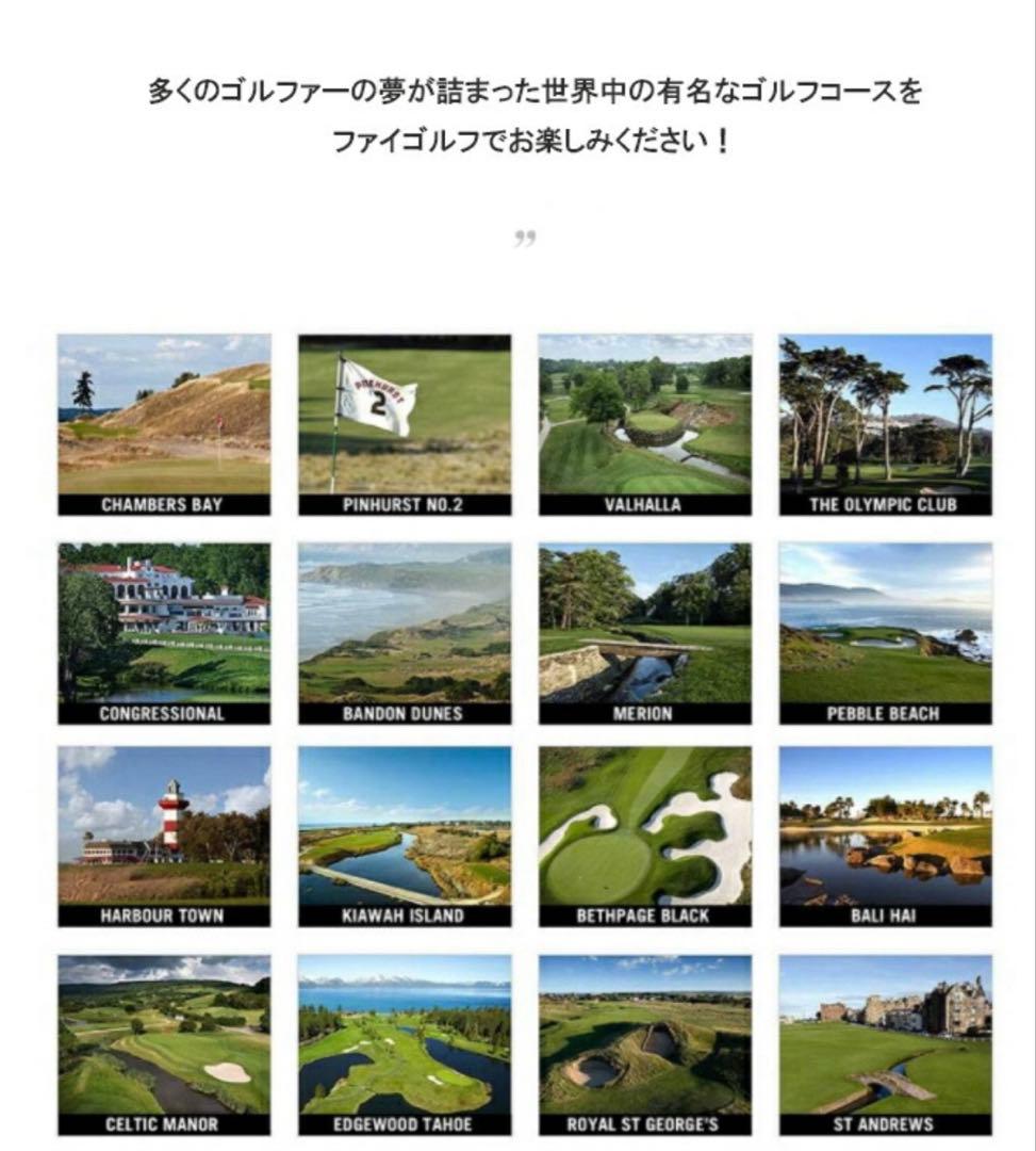 Phigolf WGT ゴルフ練習用具　ファイゴルフ　強化版