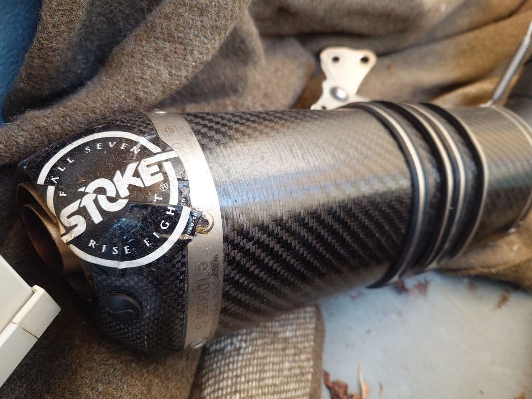 テルミニョーニ フルエキマフラーRN56J