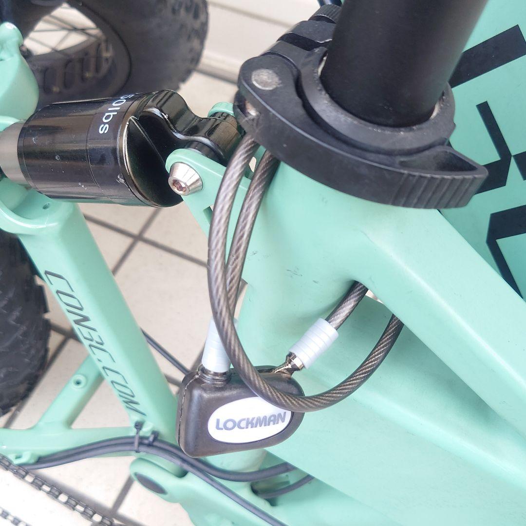 20インチ Fatバイク 電動アシスト 48km走行 1回充電 ファットバイク