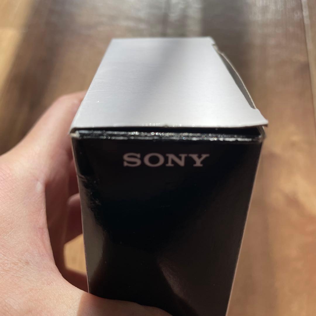 SONY NW-A55 レッド　ソニー　ウォークマン、社外品ケース、予備ケーブル