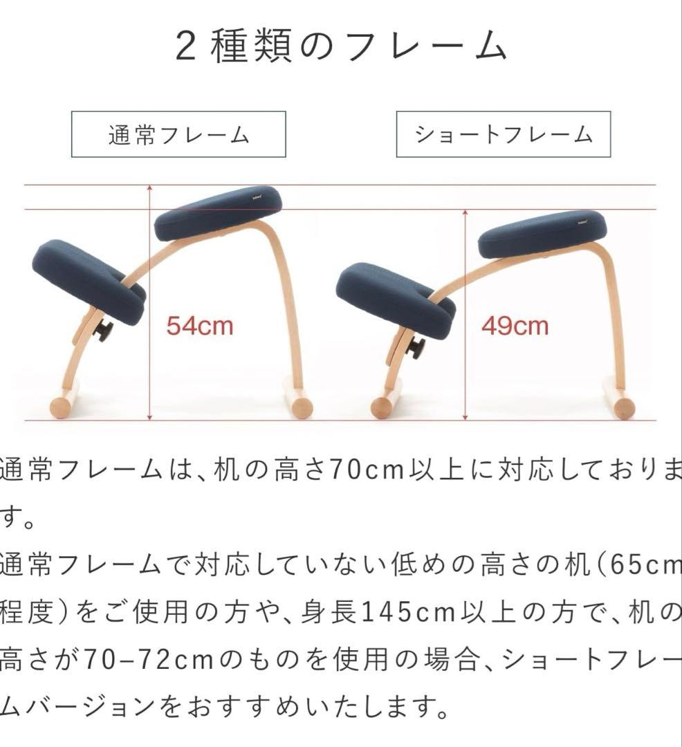 【純正カバー付き】ネイビー バランスチェア　バランスイージー　ショートフレーム