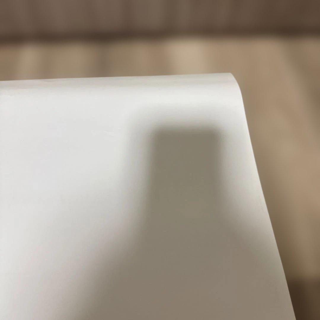 非売品❗️ゼルダの伝説 トワイライトプリンセス ポスター