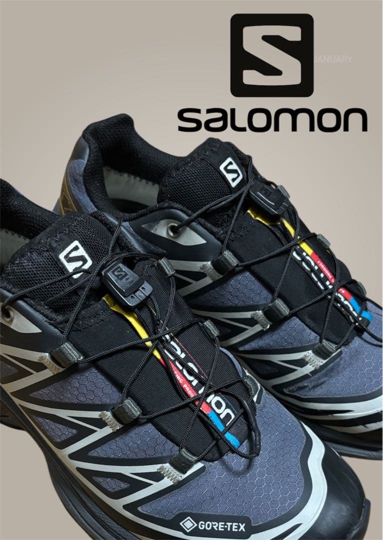 靴 SALOMON XT-6 GTX 24