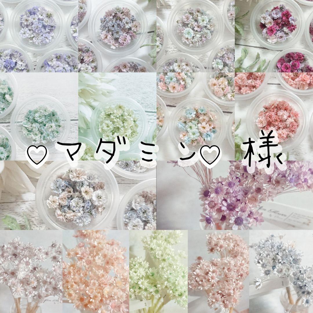 【♡マダミン♡様おまとめ】ドライフラワー