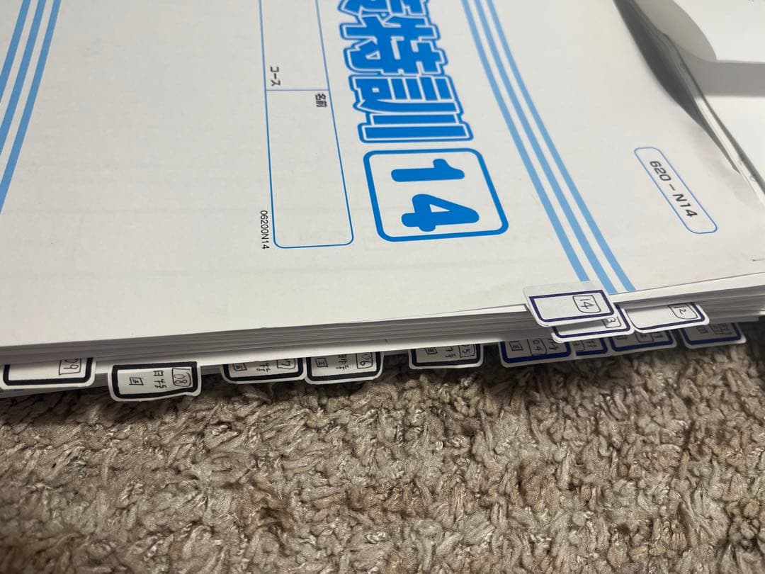 お値下【2025受験】グノーブル2024年9月〜1月　日特　志望校対策（早稲田）