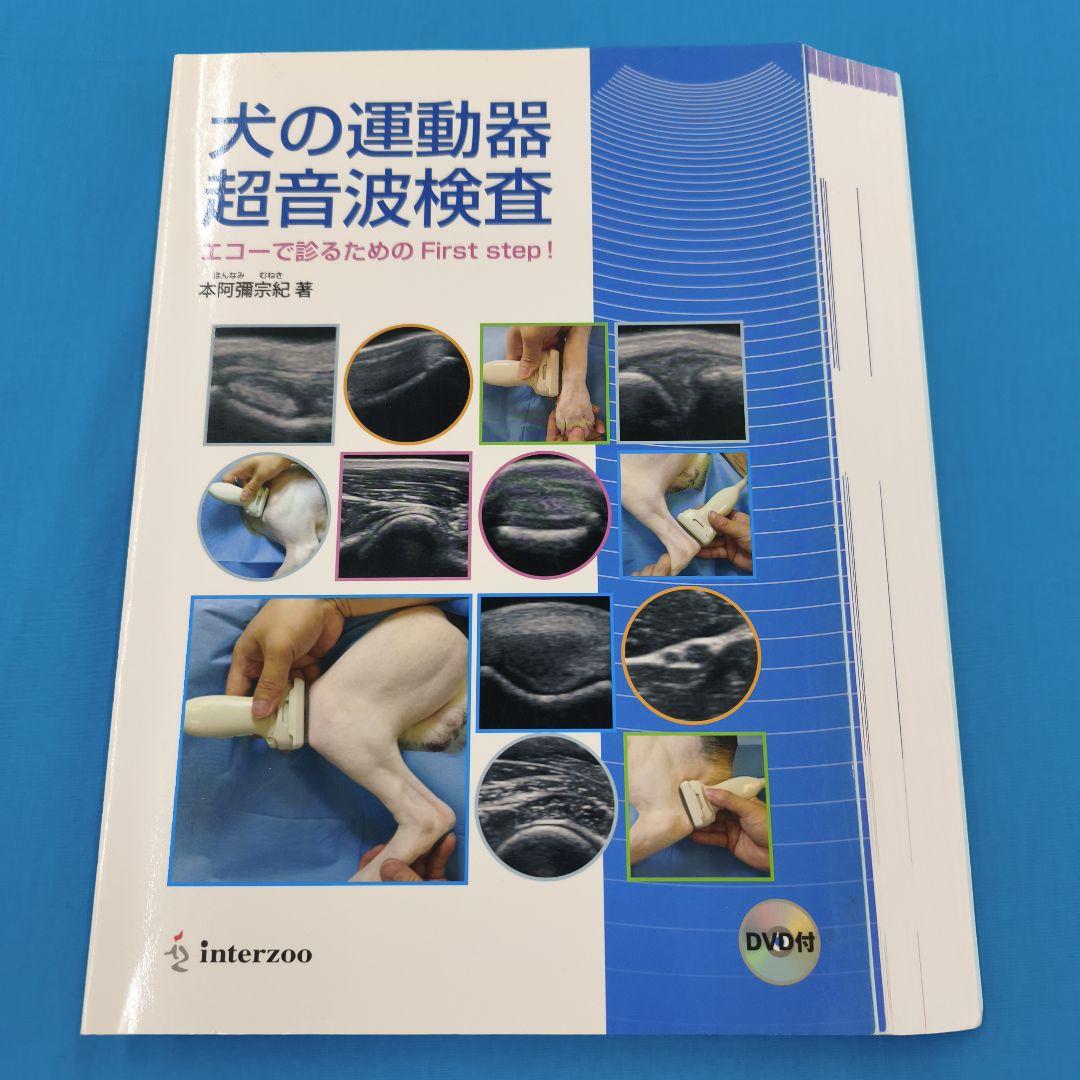 ◯裁断済 犬の運動器超音波検査