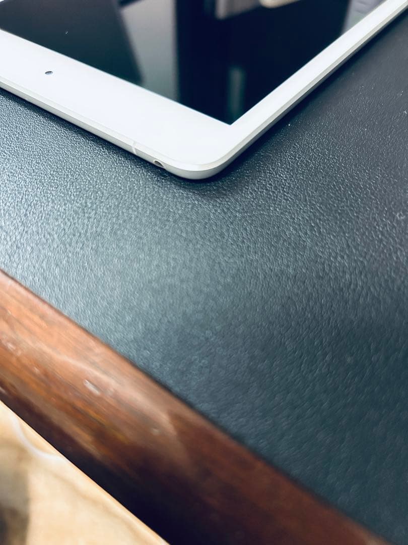 盛*翔様 iPad mini 第5世代 256GB セルラーモデル