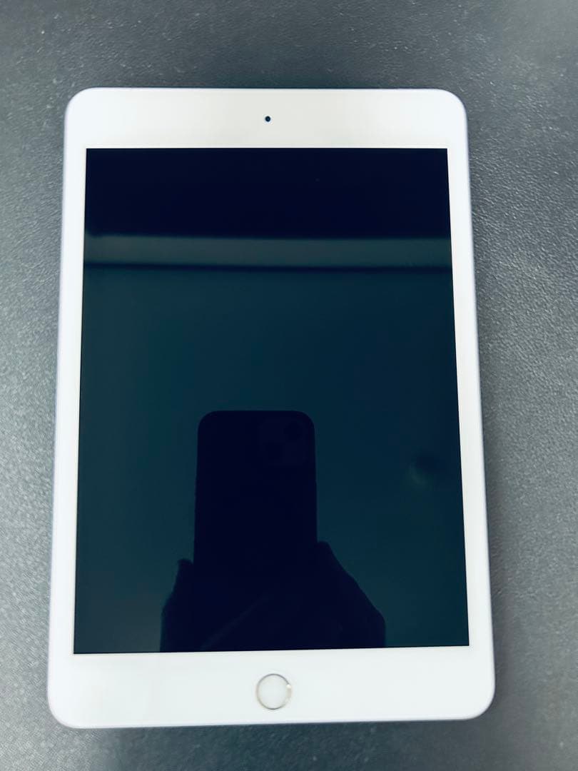 盛*翔様 iPad mini 第5世代 256GB セルラーモデル