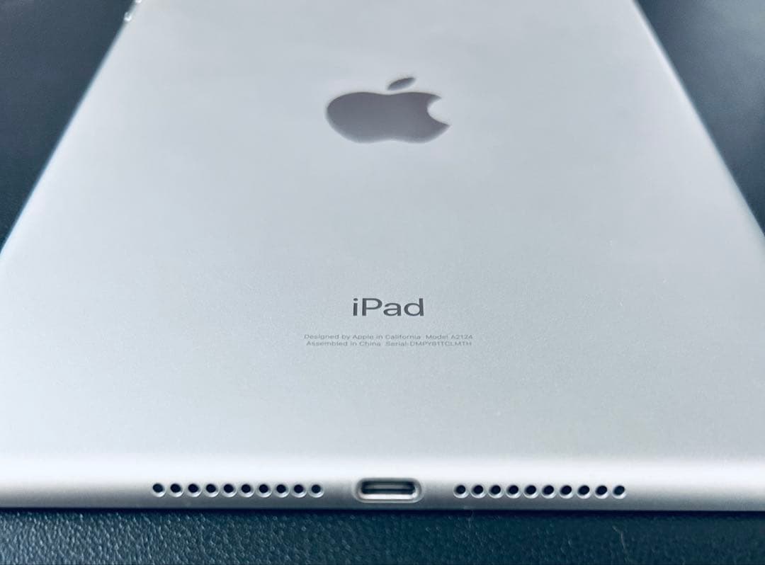 盛*翔様 iPad mini 第5世代 256GB セルラーモデル
