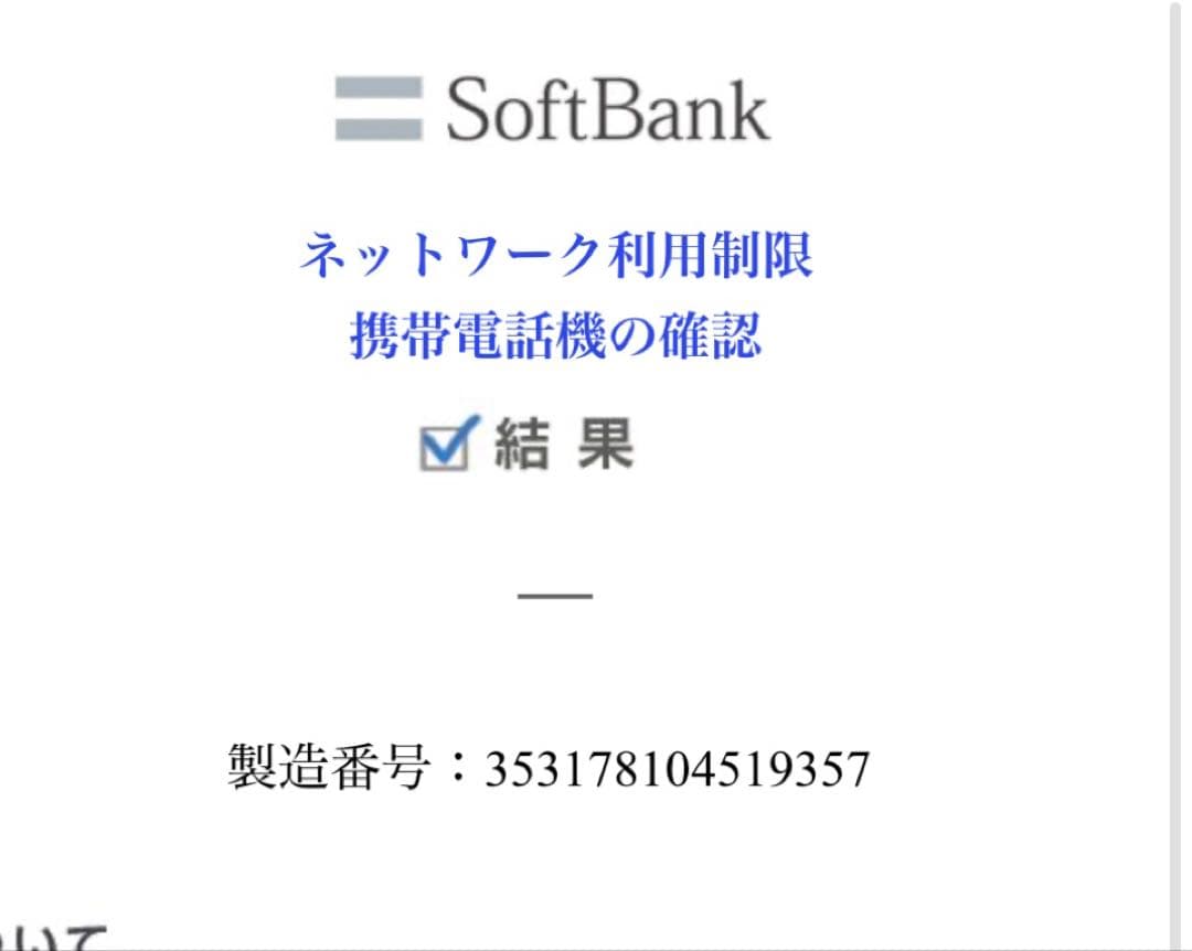 盛*翔様 iPad mini 第5世代 256GB セルラーモデル