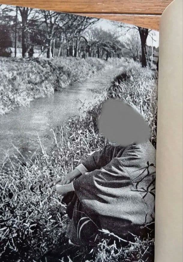 太宰治集 54 日本文学全集