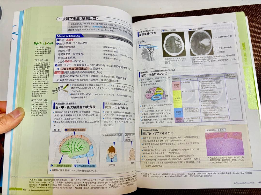 病気がみえるシリーズ 9巻セット
