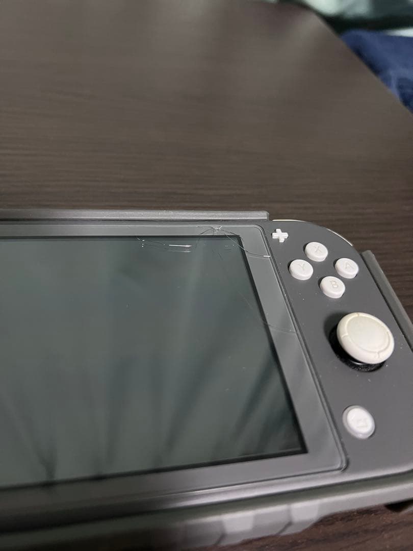 Nintendo Switch Lite グレー 本体 充電器・ケース付き