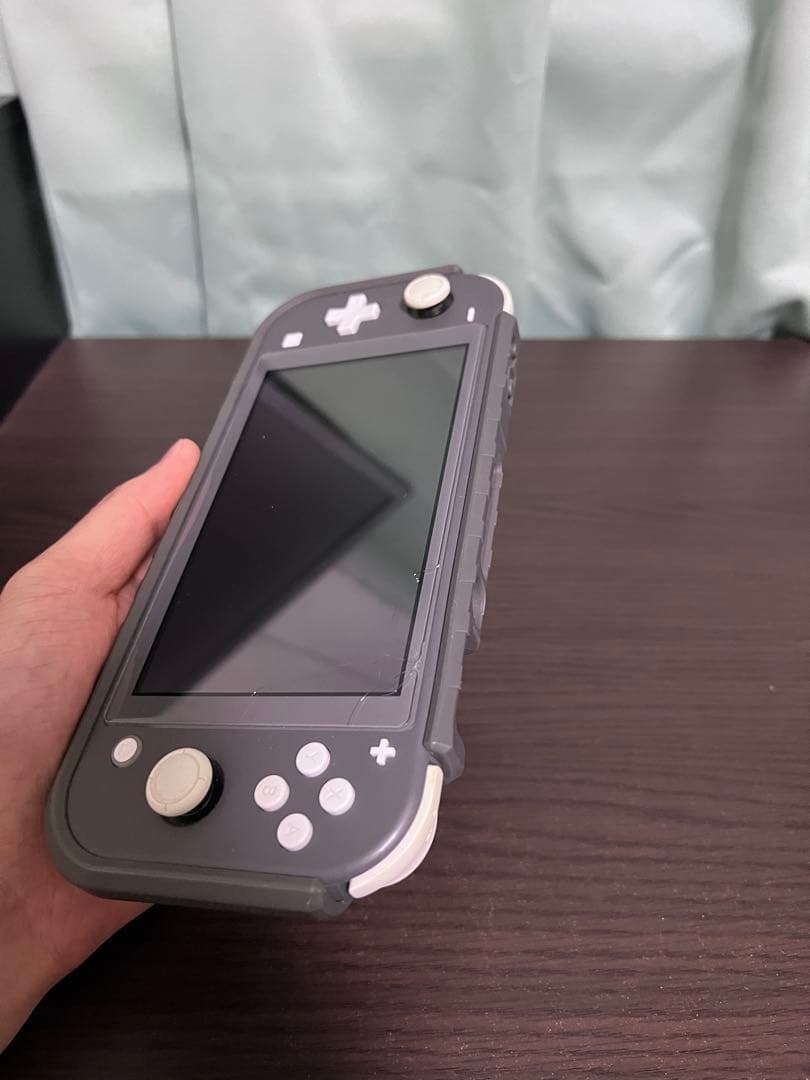 Nintendo Switch Lite グレー 本体 充電器・ケース付き