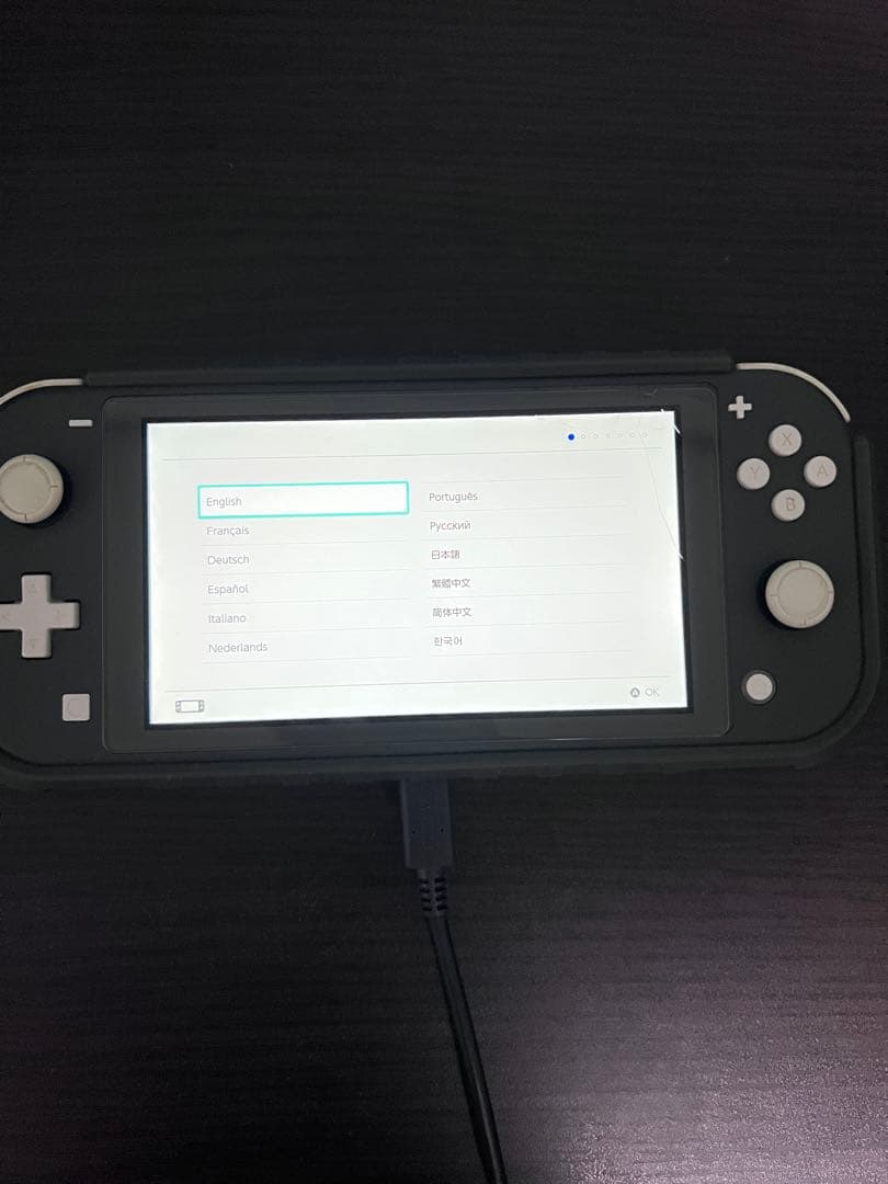 Nintendo Switch Lite グレー 本体 充電器・ケース付き