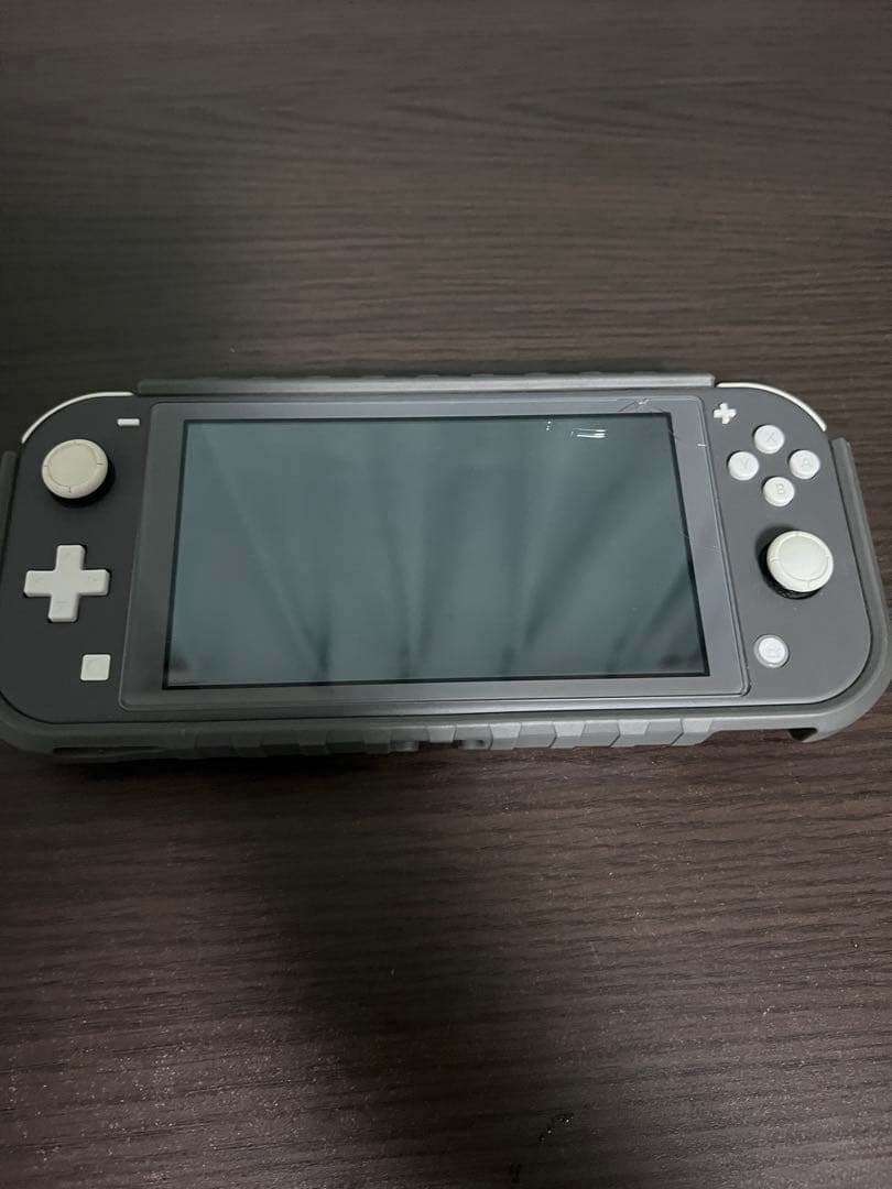 Nintendo Switch Lite グレー 本体 充電器・ケース付き