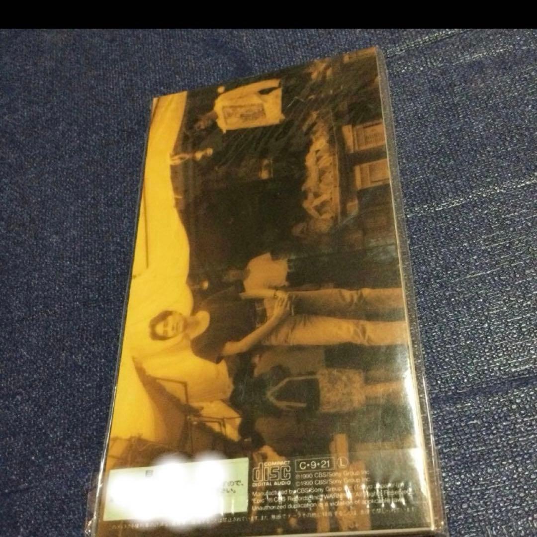 ヒートウェイブ　僕は僕のうたを歌おう　8センチ8cmシングル邦楽CD プロモ新品