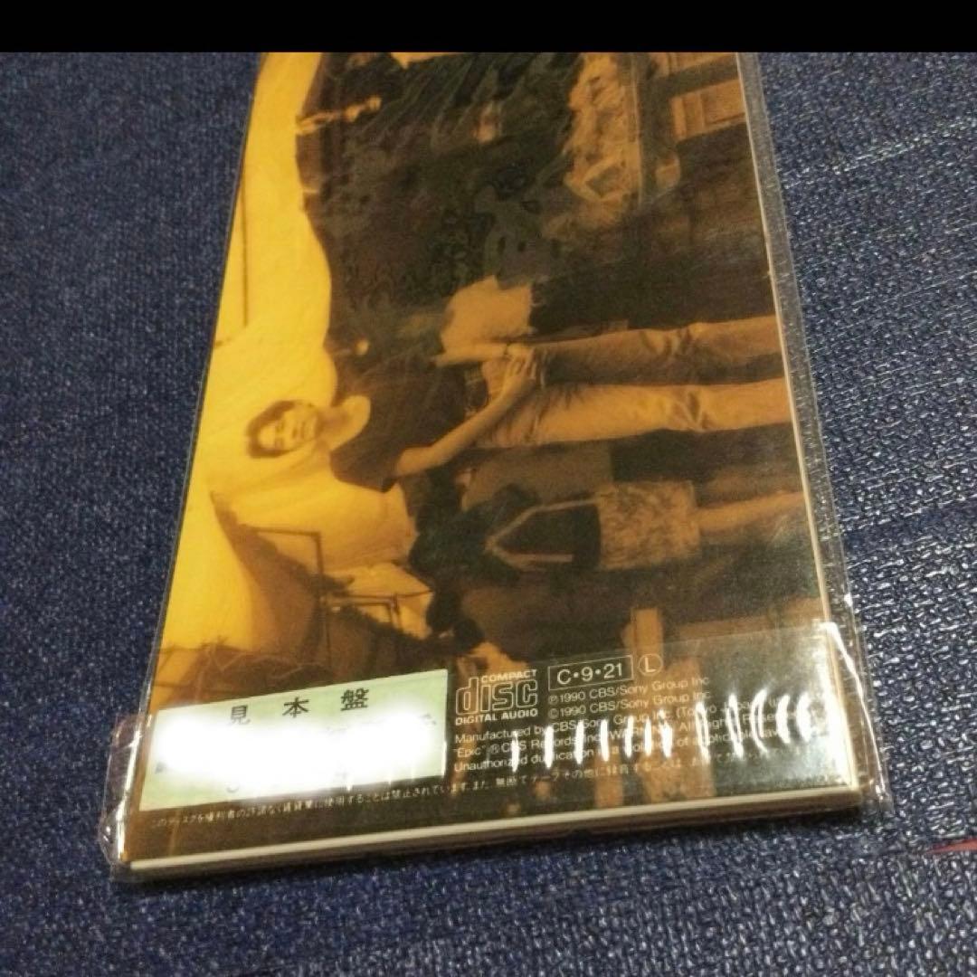 ヒートウェイブ　僕は僕のうたを歌おう　8センチ8cmシングル邦楽CD プロモ新品