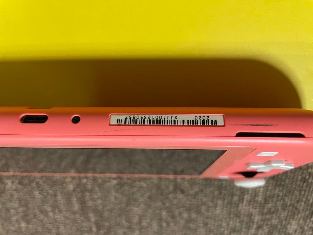 Nintendo Switch Lite コーラルピンク ピンク　ケース付き