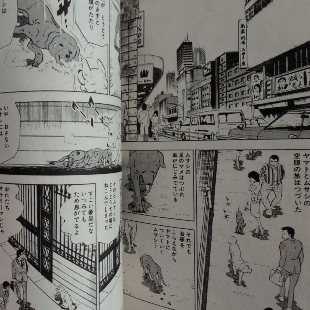 白い戦士ヤマト