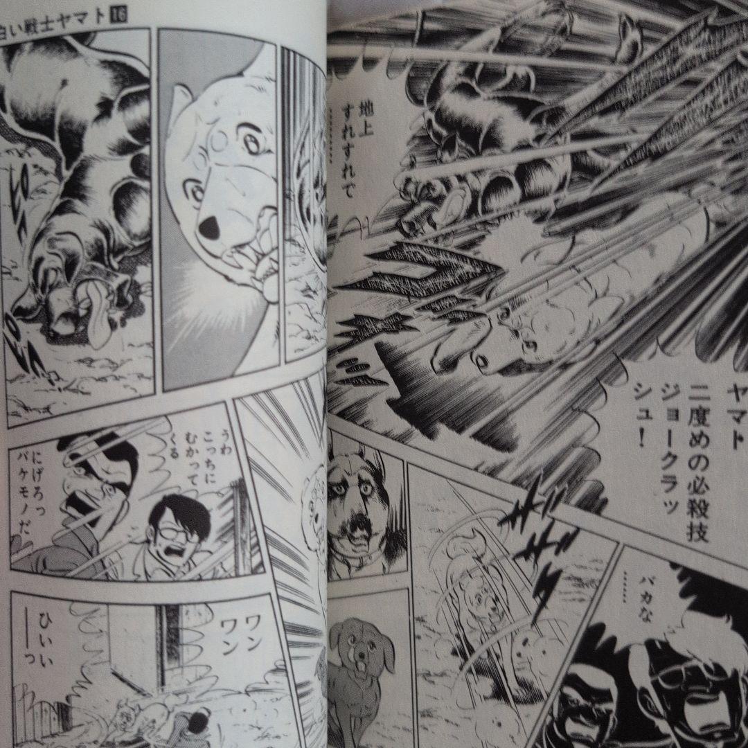 白い戦士ヤマト