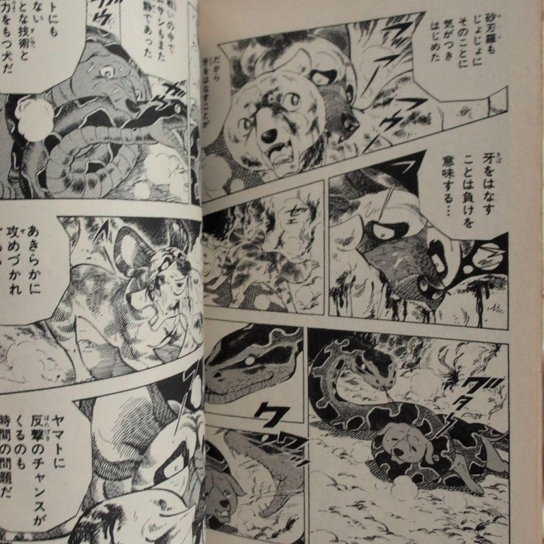 白い戦士ヤマト