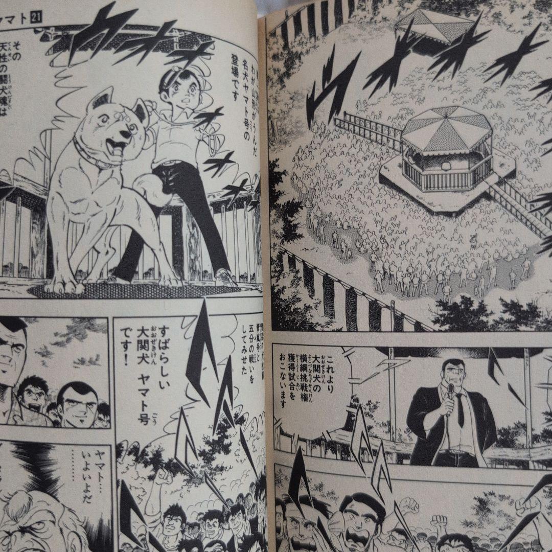 白い戦士ヤマト