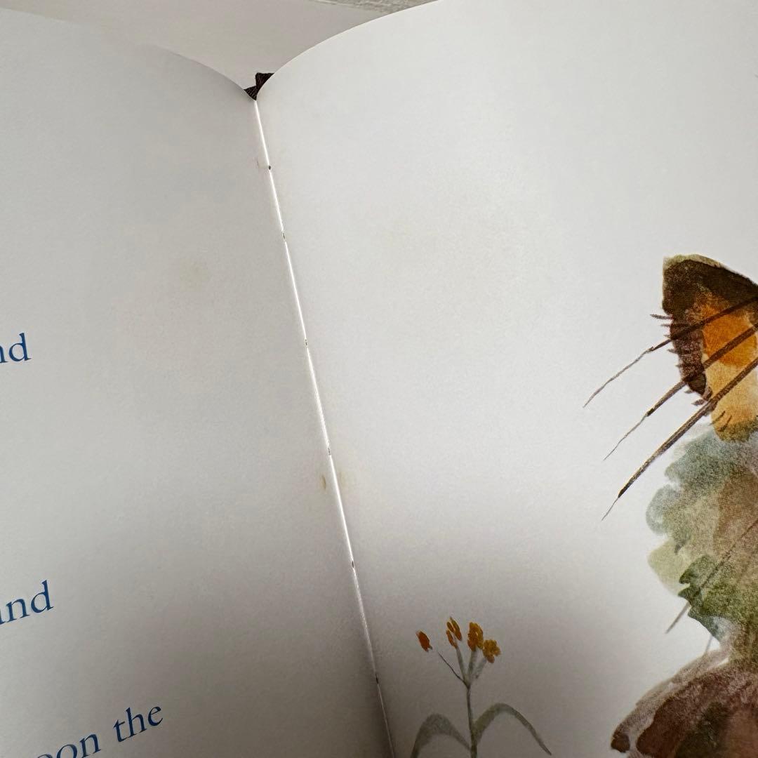 【洋書絵本】希少！100万回生きたねこ 洋書 サイン入り！