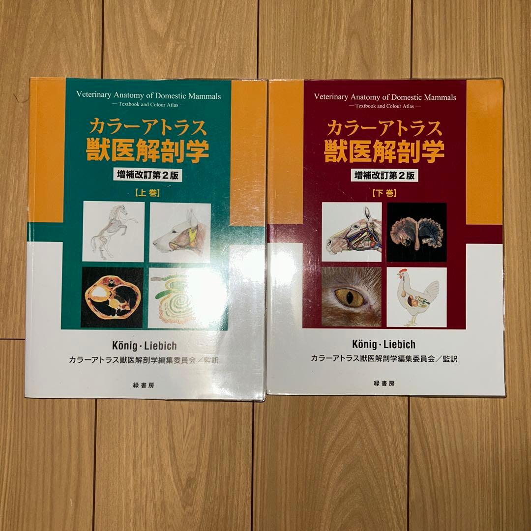 カラーアトラス獣医解剖学 上巻・下巻セット