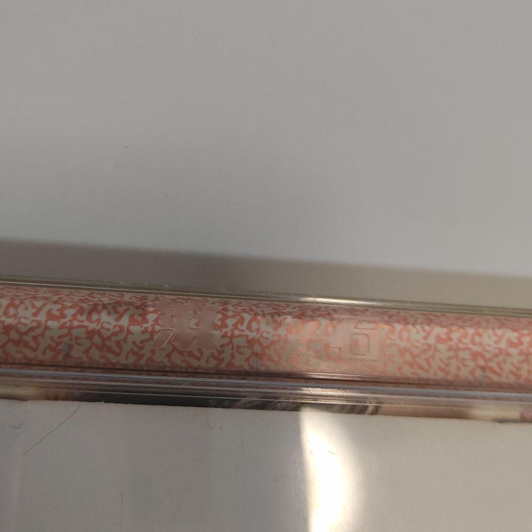 失楽園（台湾版) 陳淑樺　サラ・チェン