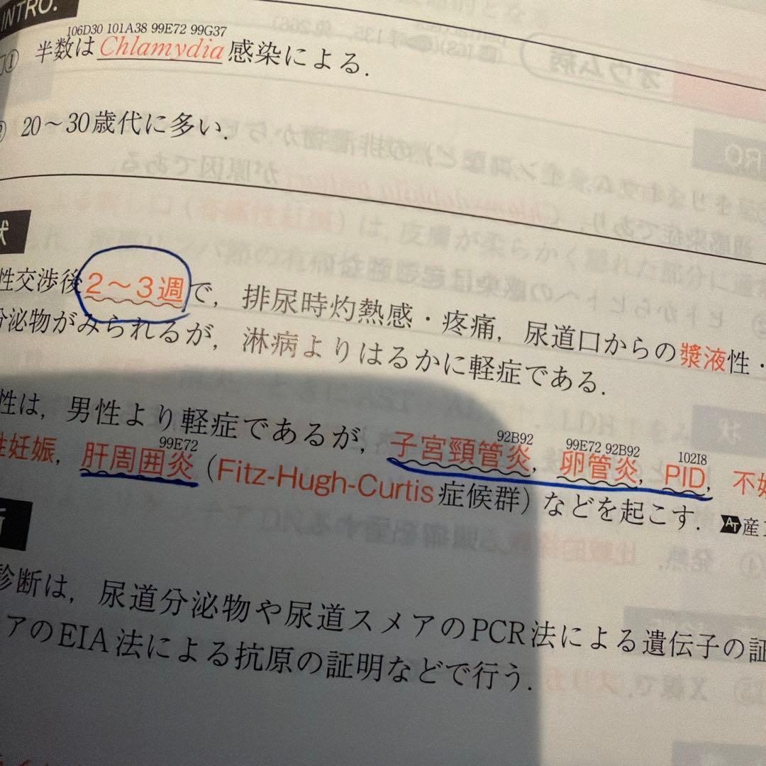 つ*ぎ様 year note 2022 & Review book 5冊