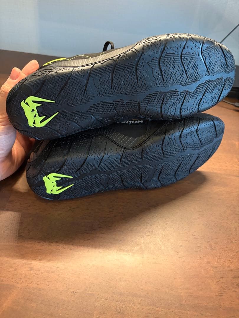 ボクシング Venum Training Camp 4.0