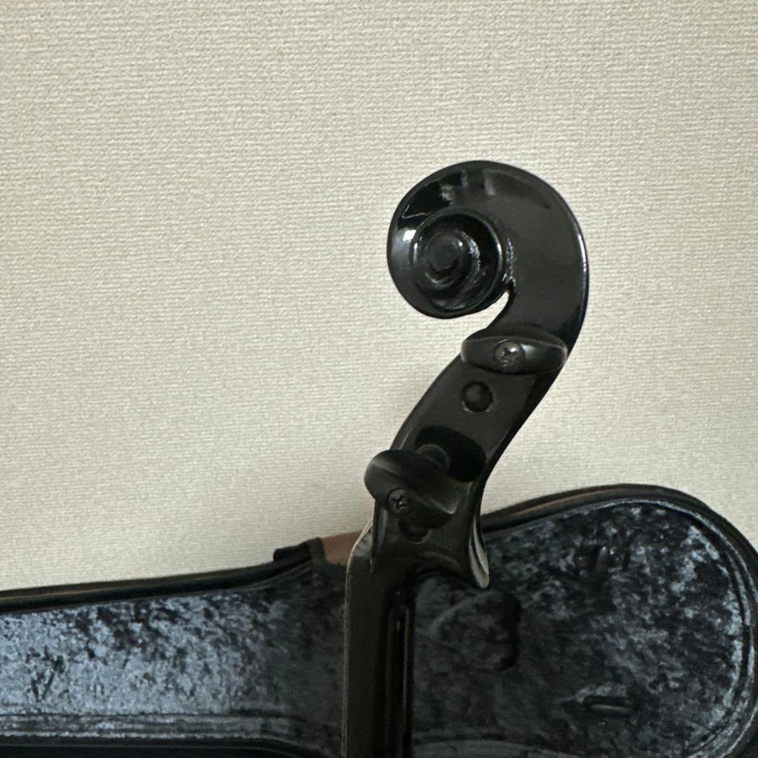 Carlo Giordano EV-202 エレキバイオリン 弦楽器 ケース付属