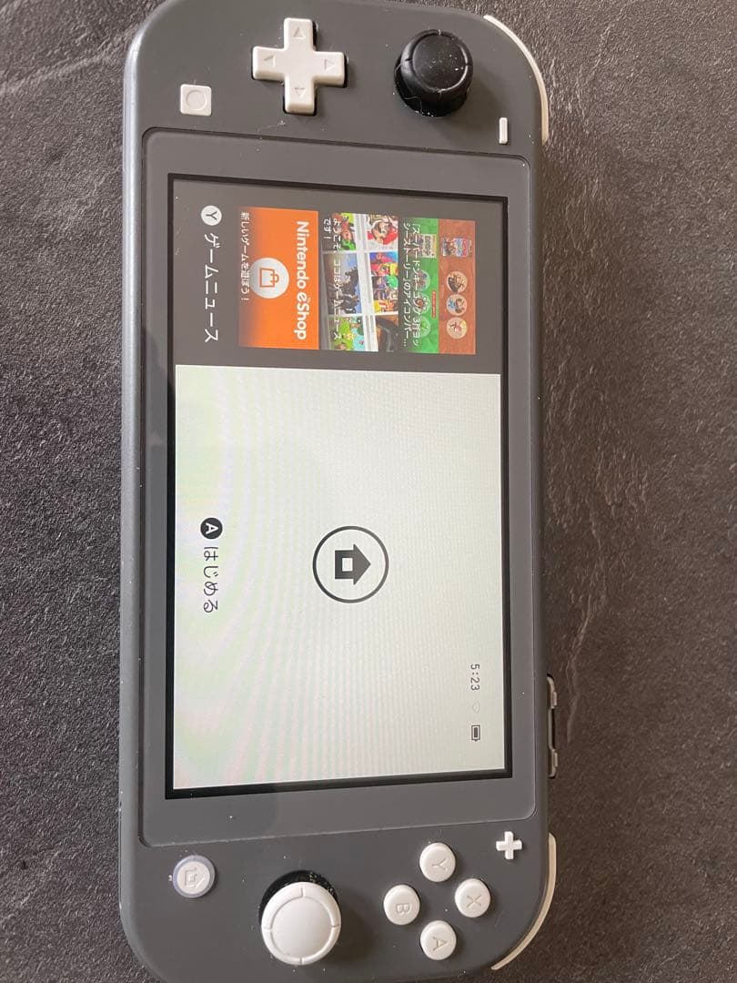 Nintendo Switch Lite グレー + ケース