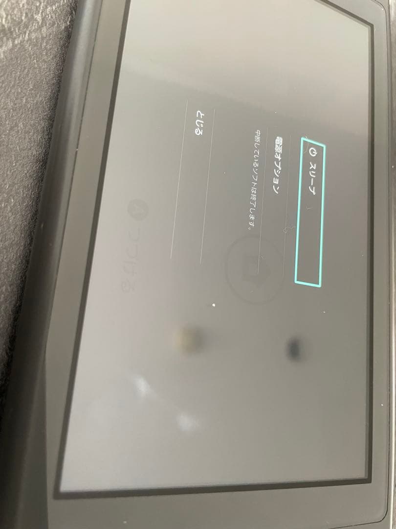 Nintendo Switch Lite グレー + ケース