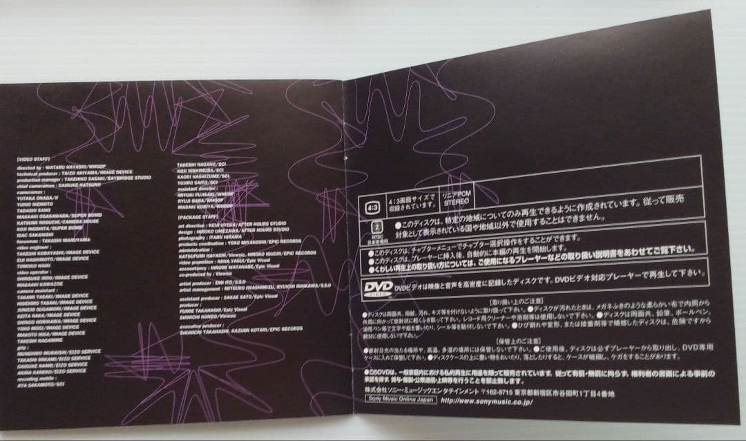 The Street Sliders/LAST DAY　DVD