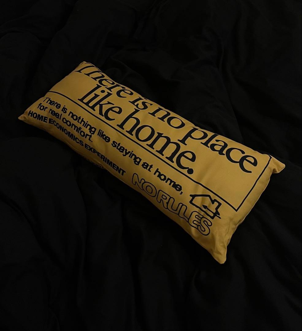  economics experiment クッション