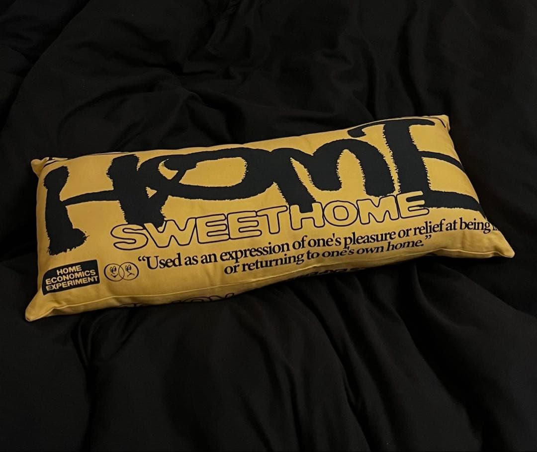  economics experiment クッション