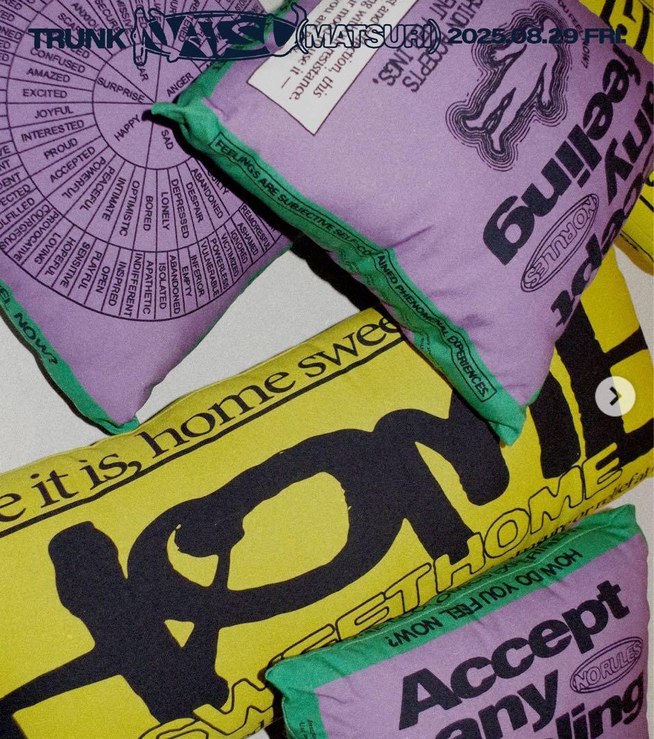  economics experiment クッション