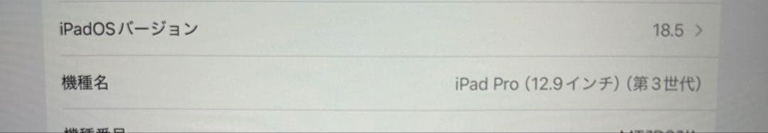 iPad Pro 12.9インチ スペースグレー 本体