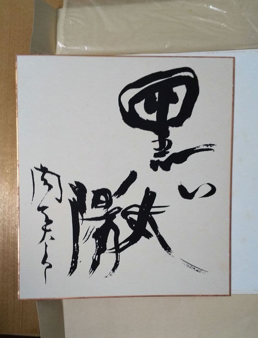 EXPO 70 日本万博記念 太陽の塔 岡本太郎　太陽の顔 黒い太陽