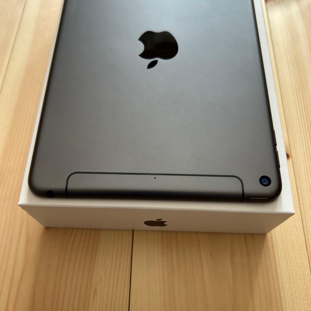 iPadmini 5 Wi-Fi Cellular 64GB バッテリー91%