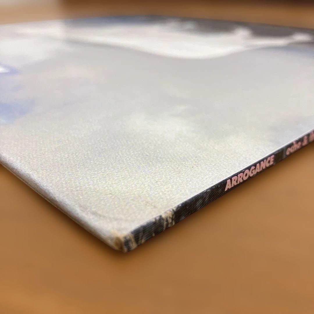 ⑮-38 Echo&the Bunnymen ARROGANCE 2LP 希少盤