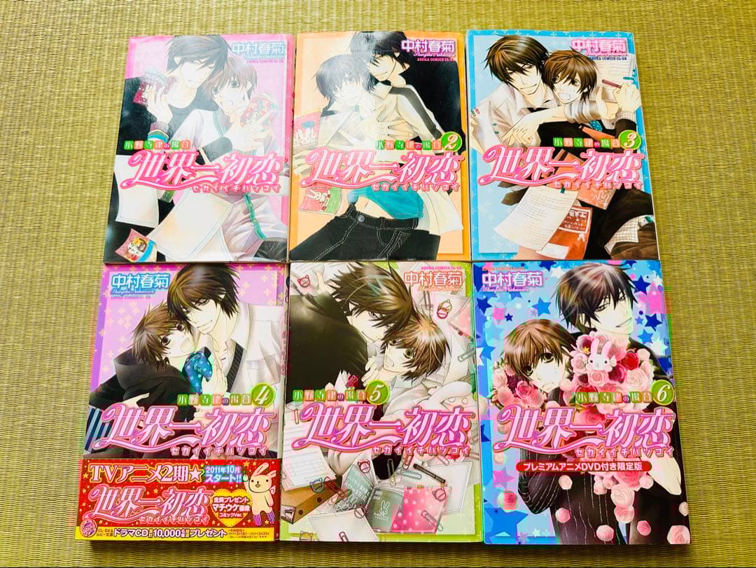 世界一初恋 全20巻 全巻セット 特装版 小冊子 6冊＋6巻DVD 中村春菊